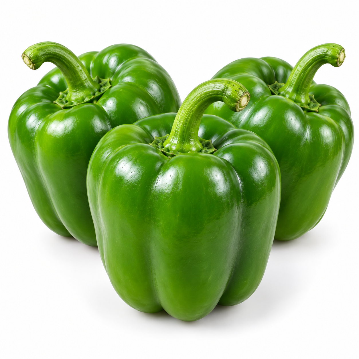Capsicum (Dappa Menasinakayi)