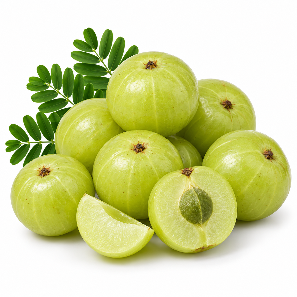 Amla (ಬೆಟ್ಟದ ನೆಲ್ಲಿಕಾಯಿ)