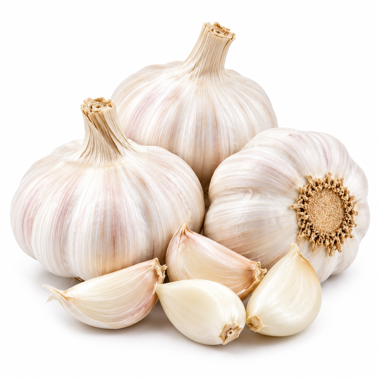 Garlic