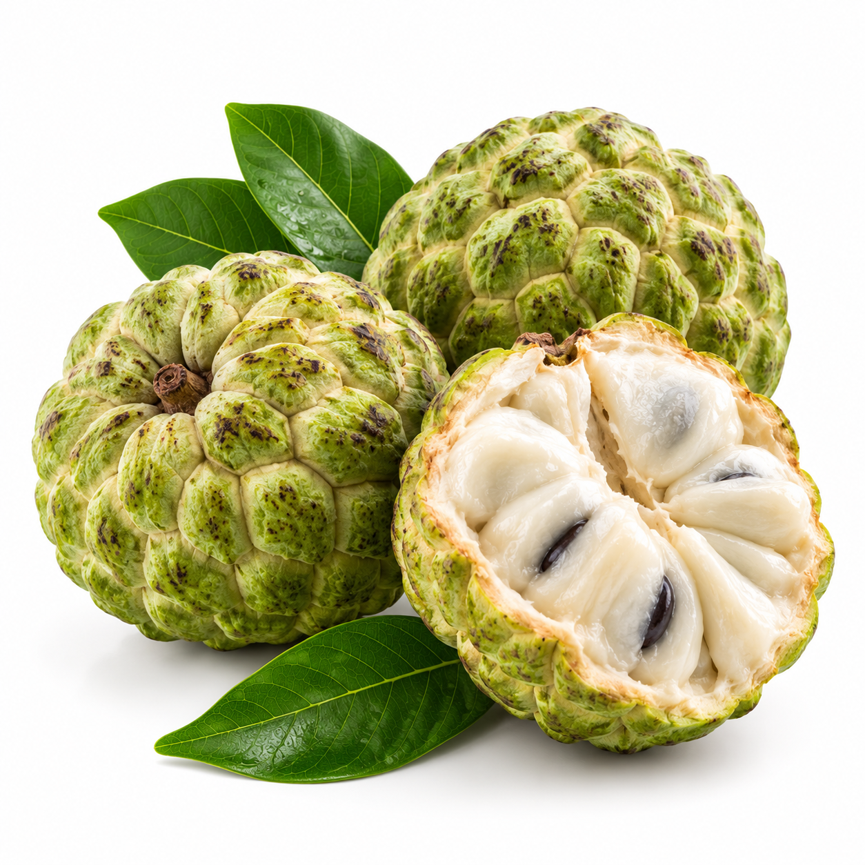 Custard Apple (Seethaphala)