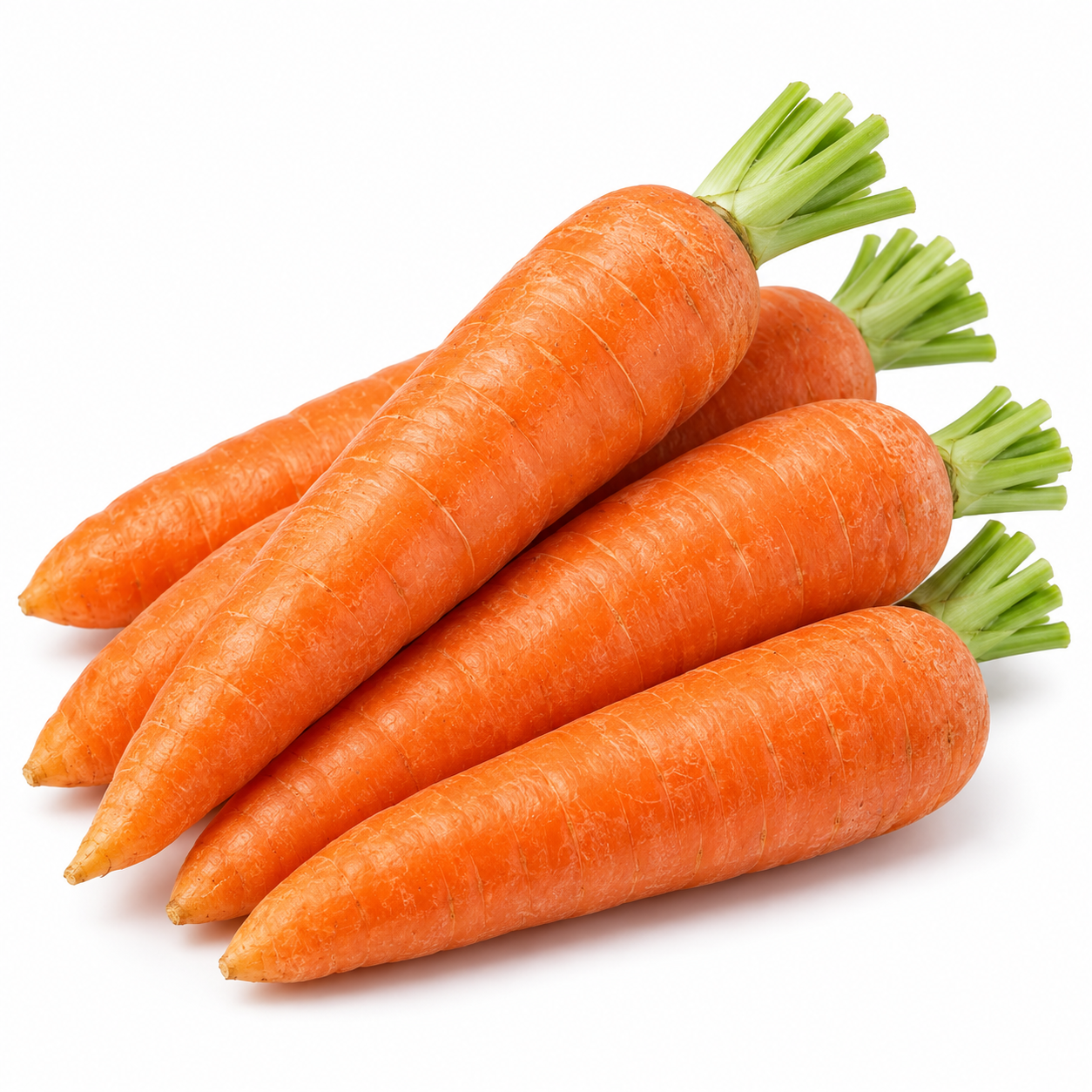 Carrot