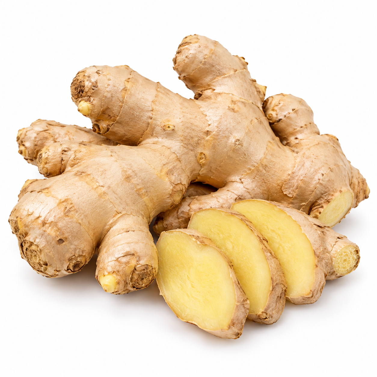 Ginger (Shunti)